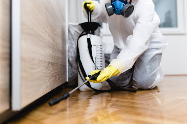 Best Insect Control  in Oakwood Hls, IL