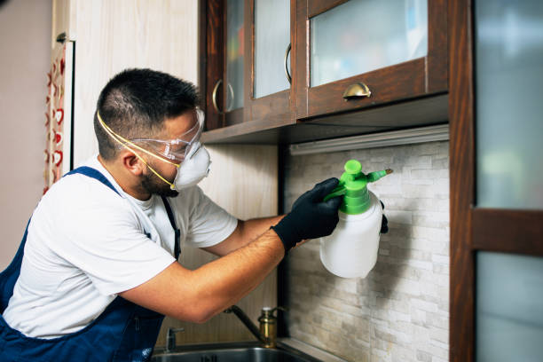 Best Residential Pest Control  in Oakwood Hls, IL