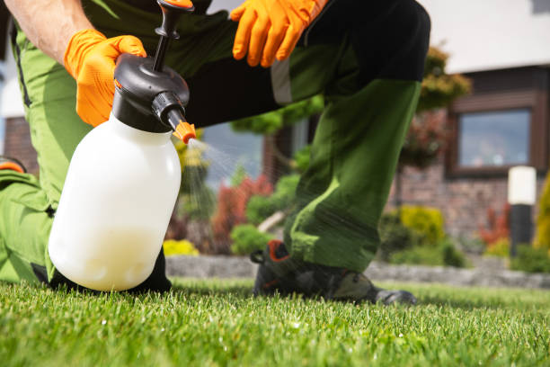 Reliable Oakwood Hills, IL Pest Control Solutions