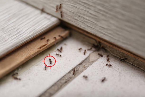 Oakwood Hills, IL Pest Control Company