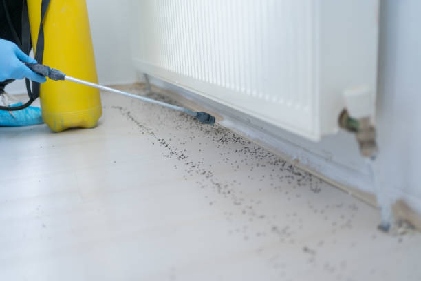 Best Cockroach Control Services  in Oakwood Hls, IL
